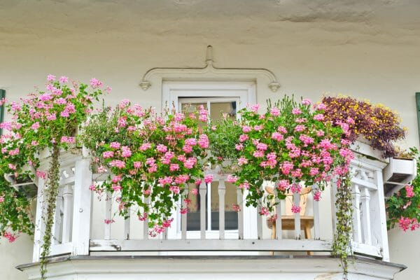 Blumenkästen Vorschau 7Roomz