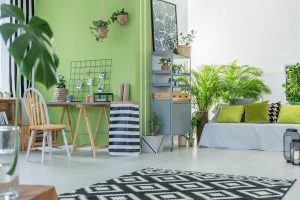 Urban Jungle Galerie 2