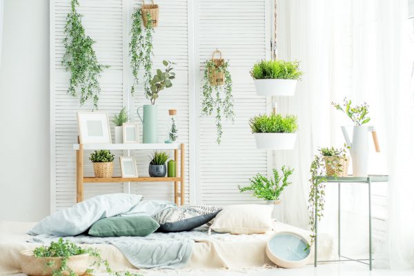 Sind Pflanzen im Schlafzimmer gesund? 7ROOMZ
