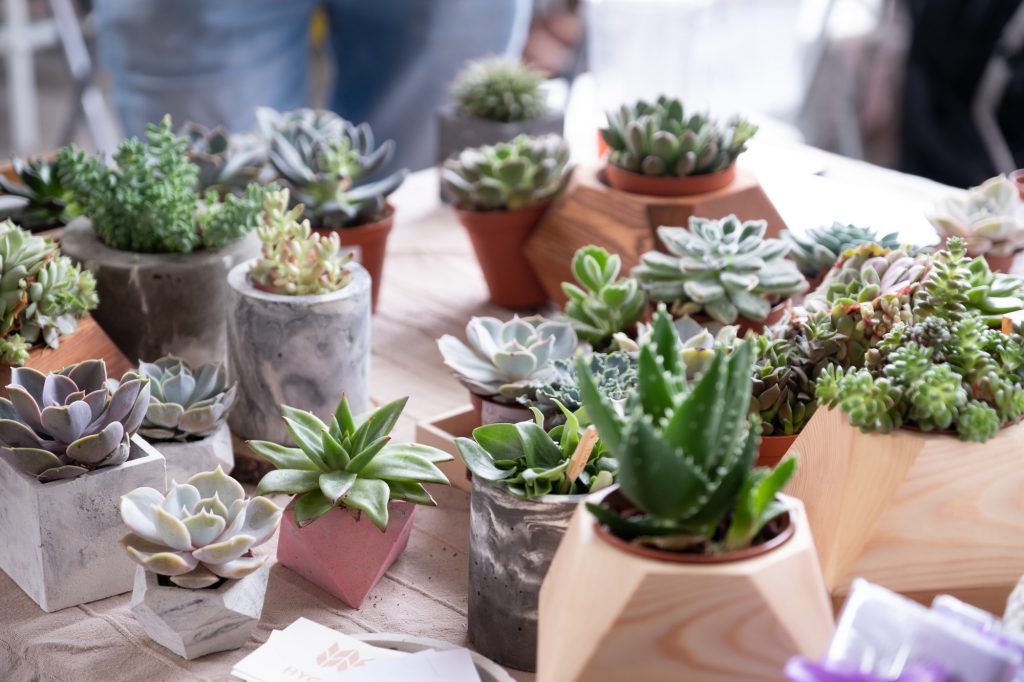 Indoor Garten Vorschau