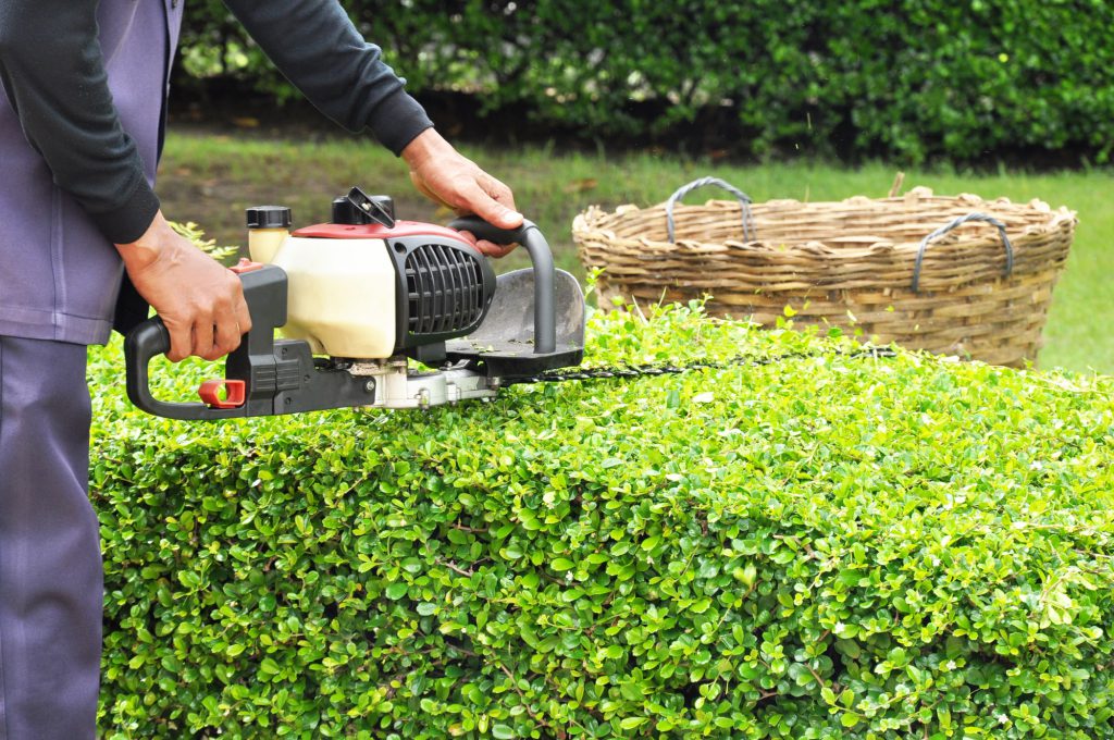 Mann schneidet die Hecke mit Heckenschere