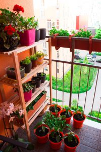 Pflanzenregal auf dem Mini-Balkon