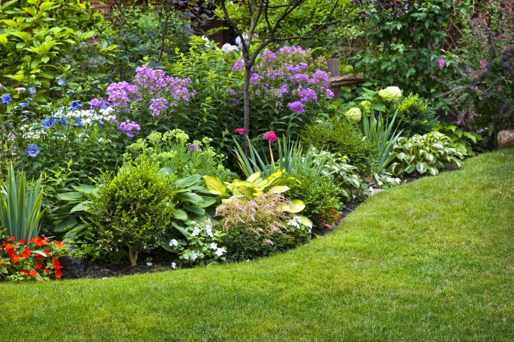 insektenfreundlicher Garten mit großen Blumenstauden