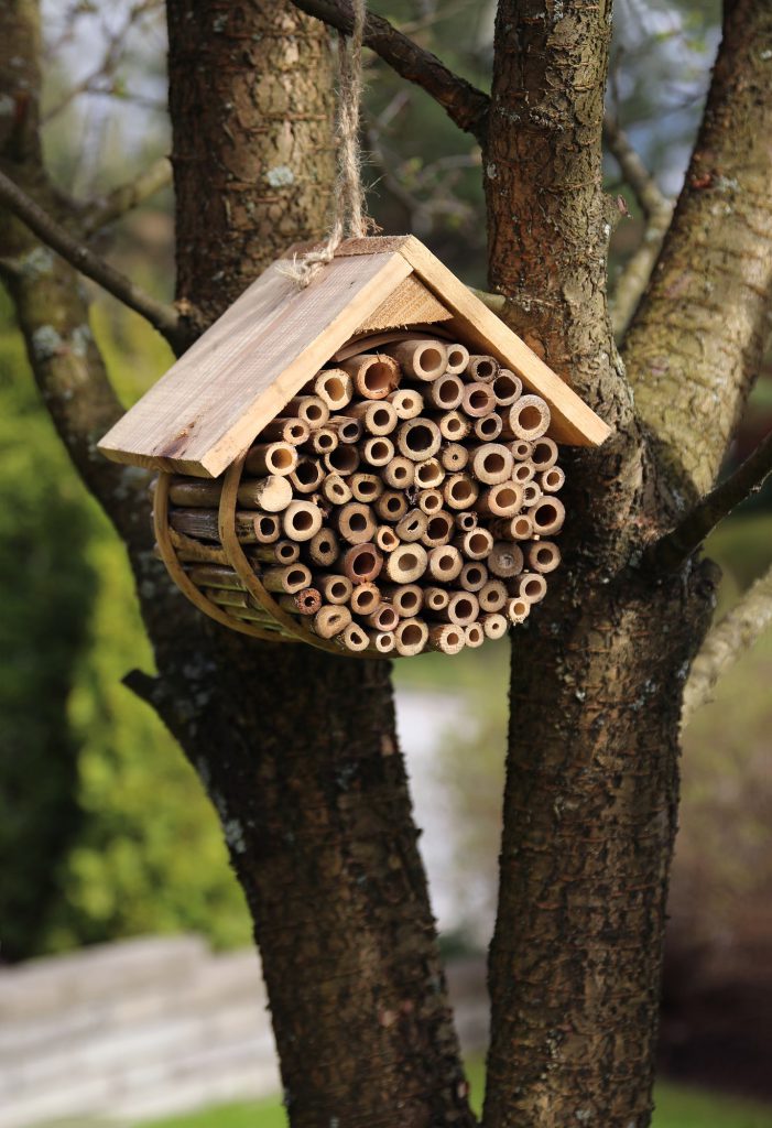 insektenfreundlicher Garten mit Insektenhotel