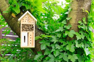 insektenfreundlicher Garten mit besonderem Insektenhotel