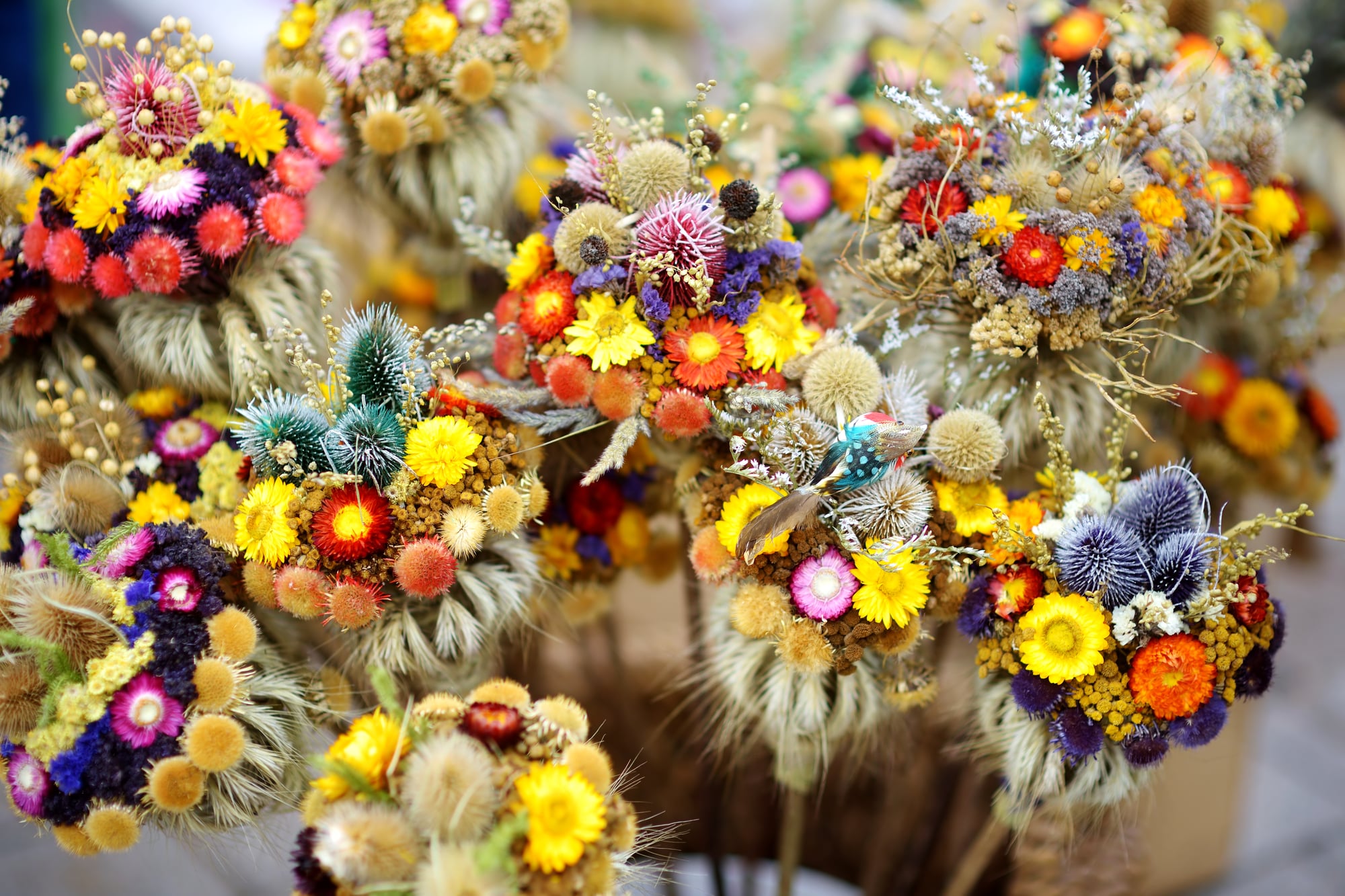 Der neueste Herbsttrend Trockenblumen 7ROOMZ