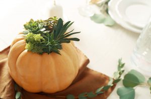 Kürbis Blumentopf mit Sukkulente