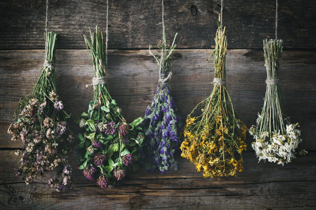 Trockenblumen hängend