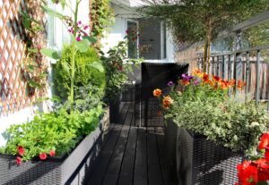 Frühlingsblumen für den Balkon Vorschau
