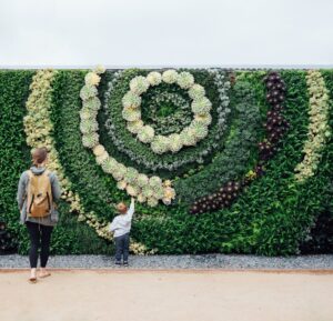 Sichtschutz für den Garten - diese fünf Ideen sorgen für Ruhe