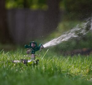 Rasenpflege – die besten Tipps für einen schönen Rasen