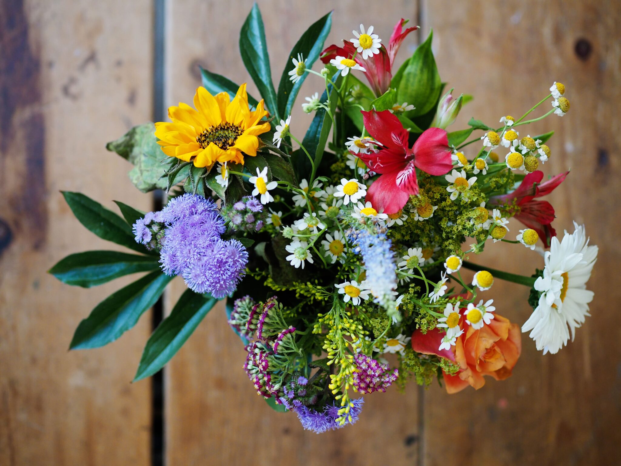 Günstig Blumen In Die Schweiz Verschicken www.7roomz.de