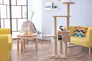 Kitten sitting in cat tree at modern room