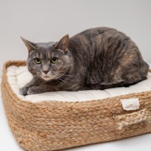 Einrichtungsideen für Katzen - deine Katze wird es lieben
