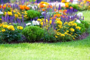 10 Irrtümer rund um den Garten Galerie1