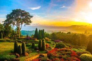 10 Irrtümer rund um den Garten Vorschau