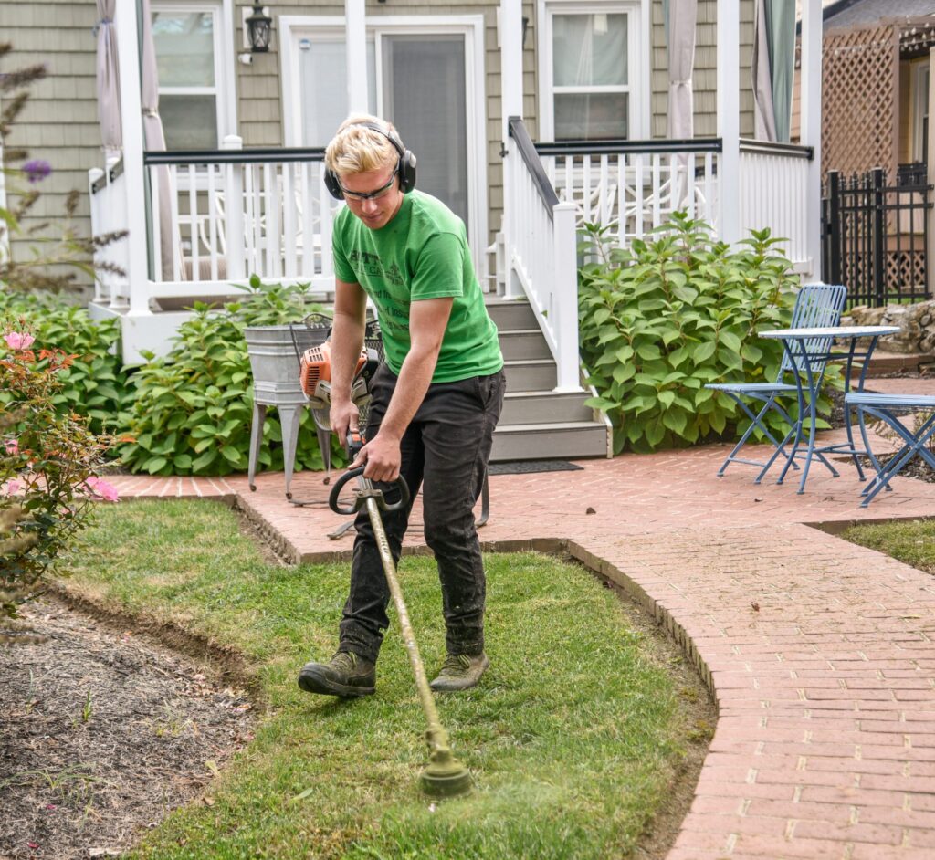 Die erste Gartenarbeit nach dem Winter - Was jetzt ansteht