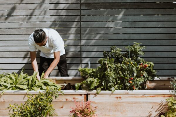 Die erste Gartenarbeit nach dem Winter - Was jetzt ansteht