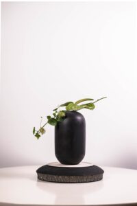 Japandi-Wohnzimmer - Hol dir das nordisch-fernöstliche Flair
