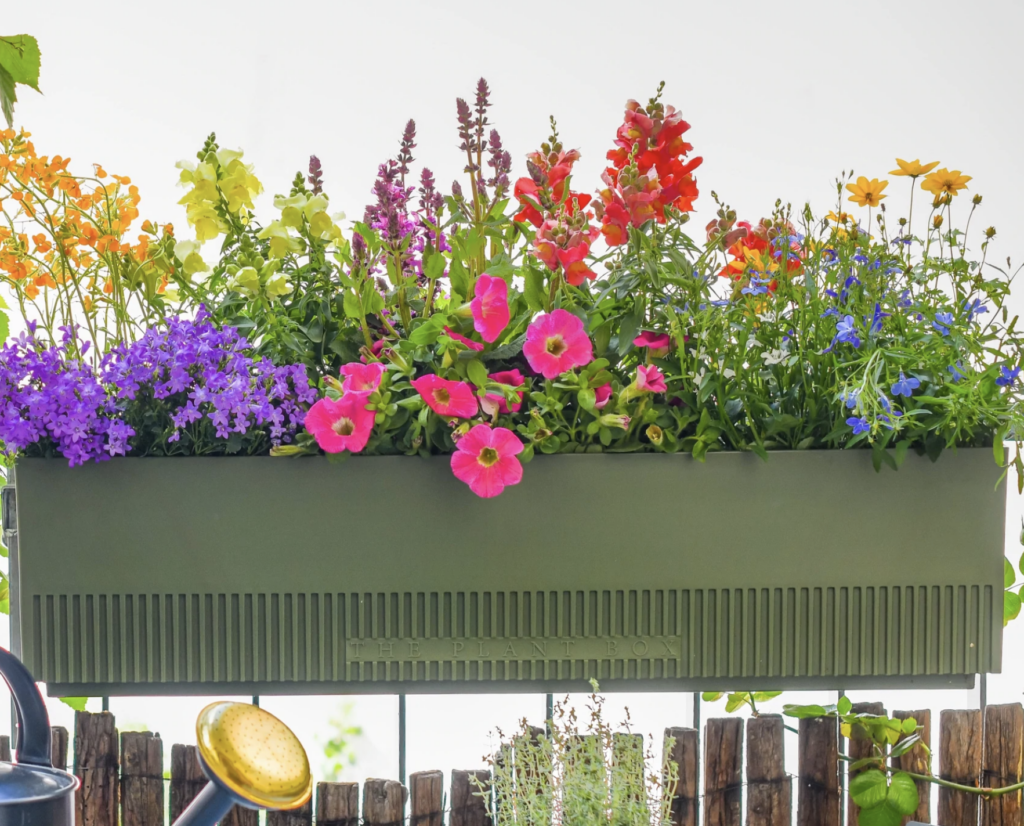 The Plant Box - Von der Höhle der Löwen auf unseren Balkon