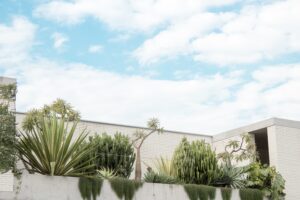 Dachterrasse gestalten – mache sie zum Sehnsuchtsort
