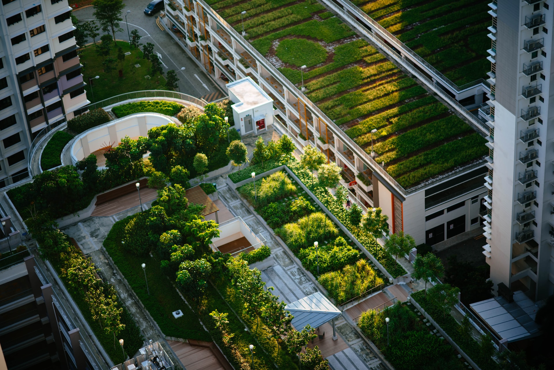 Abluft als Dünger Urban Gardening