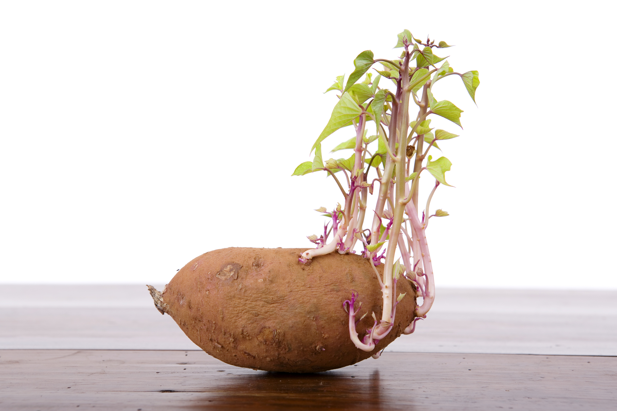 Keimen von Kartoffeln verhindern