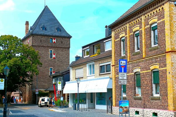 Anleitung zum Selbstbau und zur Montage von Wandregalen